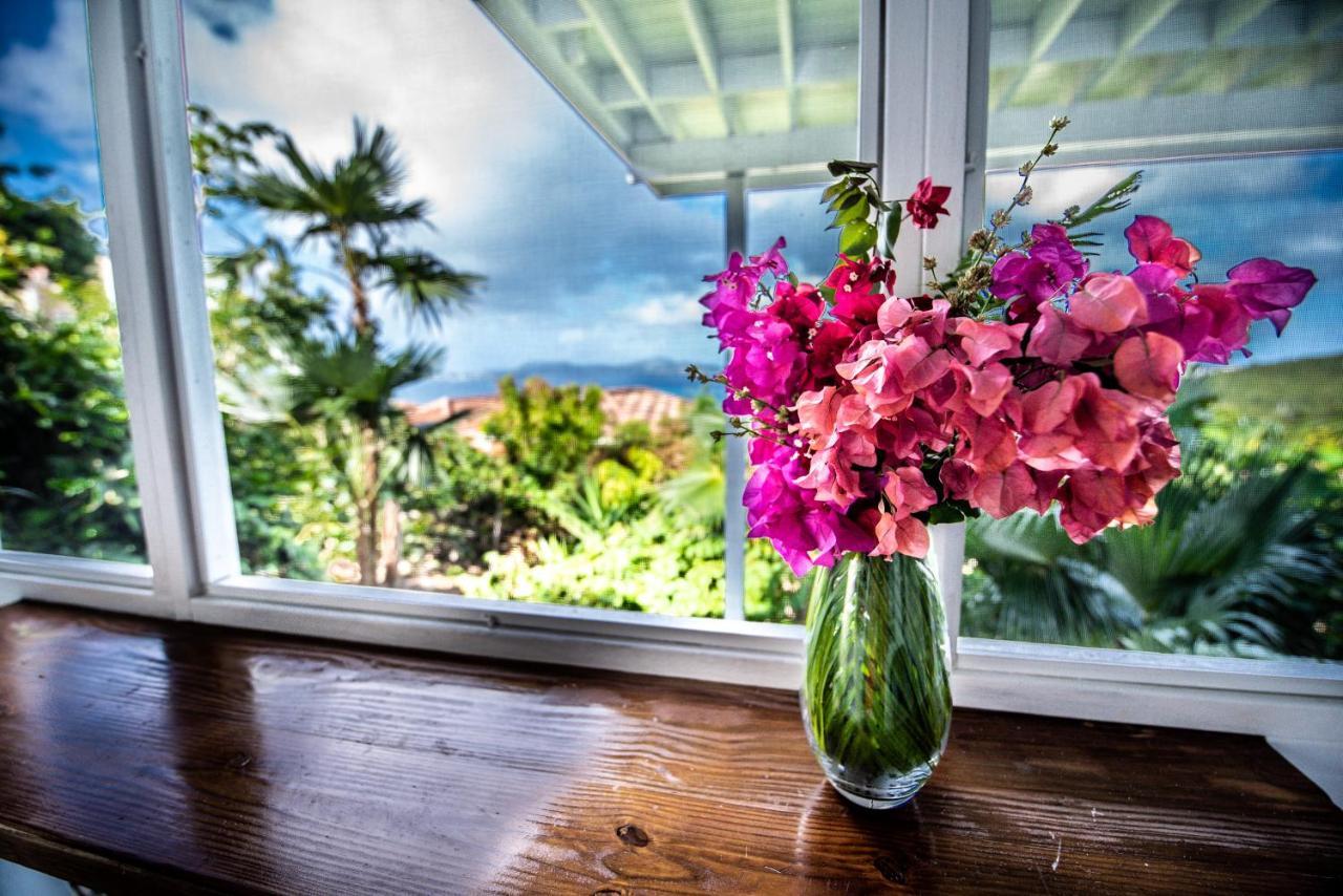 Papaya Suite At Sunset Serenade Cruz Bay ภายนอก รูปภาพ