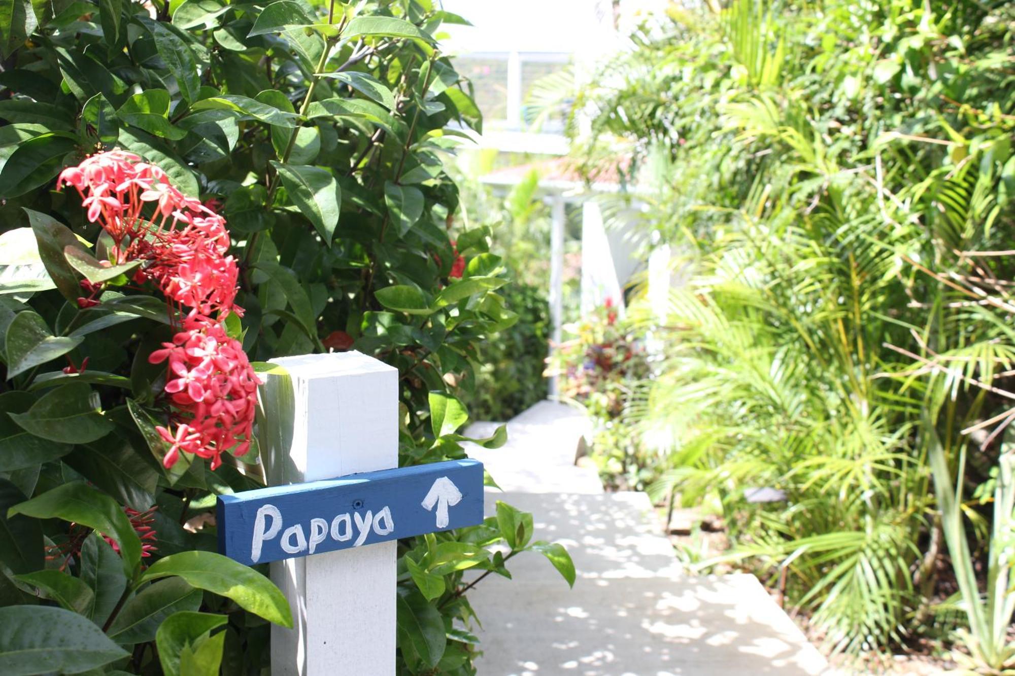 Papaya Suite At Sunset Serenade Cruz Bay ภายนอก รูปภาพ